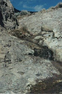 Heliotrope Falls